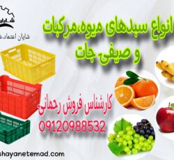 سبد حمل میوه/سبد 20 کیلویی/سبد پلاستیکی میوه