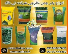 فروش بذر چمن با کیفیت عالی و قیمت مناسب