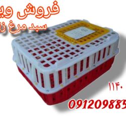 فروش سبد مرغ زنده در قزوین/قفس مرغ
