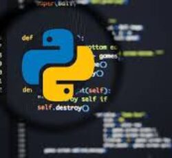 انجام پروژهای کامپیوتری با نرم افزار پایتون python