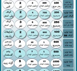 راه اندازی خطوط تولید الیاف و مشاوره کسب و کار