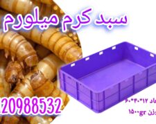 سبد کرم میلورم،سبد پرورش کرم،سبد پلاستیکی