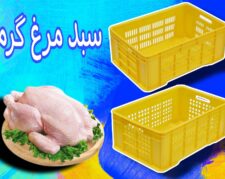 فروش سبد مرغ در قم/سبد کشتارگاهی/سبد مرغ زنده