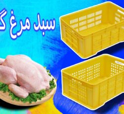 فروش سبد مرغ در قم/سبد کشتارگاهی/سبد مرغ زنده