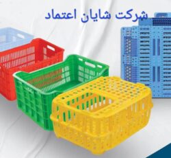 فروش سبد مرغ کشتارگاهی و مرغ زنده در قزوین