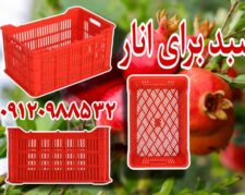 سبد انار/سبد 20 کیلویی/سبد مرکبات و پرتغال