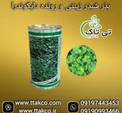 فروش بذر شبدر زینتی رونده تزئینی جهت زیبا سازی محوطه حیاط و باغ 09197443453