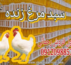 فروش سبد حمل مرغ زنده در گیلان/سبد پلاستیکی