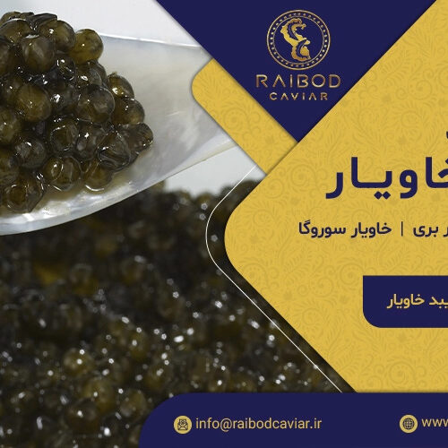 خرید خاویار اصل از فروشگاه رایبد