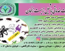 خدمات سمپاشی و مبارزه با حشرات و موش ها