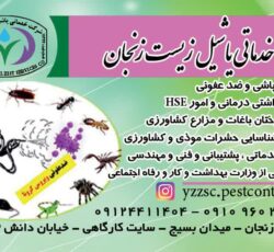 خدمات سمپاشی و مبارزه با حشرات و موش ها