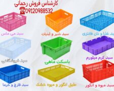 تولید پالت پلاستیکی و سبد برای کشتارگاه،لبنیات،ماهی و میوه در اردبیل