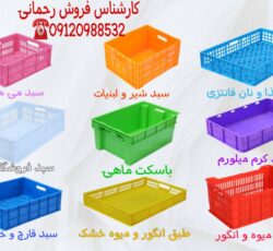 تولید پالت پلاستیکی و سبد برای کشتارگاه،لبنیات،ماهی و میوه در اردبیل