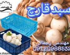 سبد قارچ دکمه ای/سبد پلاستیکی در کردستان