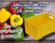 سبد فلفل دلمه و جعبه پلاستیکی در اصفهان