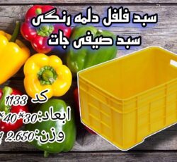 سبد فلفل دلمه و جعبه پلاستیکی در اصفهان