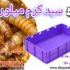 سبد کرم میلورم، سبد کرم ابریشم