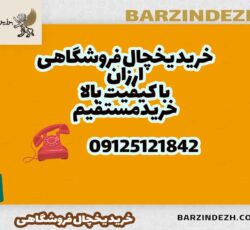 خرید انواع یخچال های فروشگاهی از تولید کننده یخچال فروشگاهی