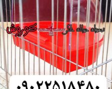 مجموعه کوروش عرضه کننده وان آب‌تنی بیرون قفس پرنده