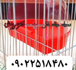 مجموعه کوروش عرضه کننده وان آب‌تنی بیرون قفس پرنده