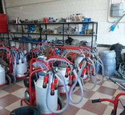شیردوش برقی/شیردوش دستی /برای استفاده گاو. گوسفندو بز