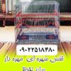 مجموعه کوروش عرضه کننده قفس سهره‌ای مهره‌دار