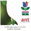 کود ANT TURKEY