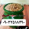مجموعه کوروش تولید کننده و عرضه کننده  عمده گندم