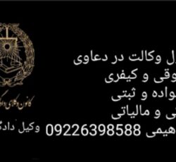 وکیل دادگستری