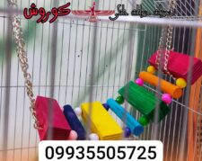 مجموعه کوروش تولید کننده اسباب بازی کد 404