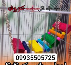 مجموعه کوروش تولید کننده اسباب بازی کد 404