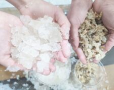 هیدروژل های کشاورزی راهی آسان برای صرفه جویی آب