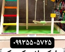 مجموعه کوروش تولید کننده پارک بازی طوطیسانان