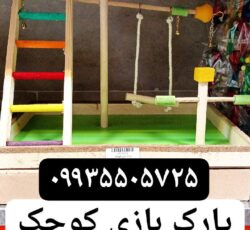 مجموعه کوروش تولید کننده پارک بازی طوطیسانان