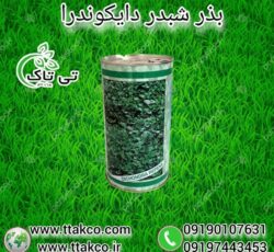 بذر چمن ، بذر دایکوندرا ، شبدر زینتی – 09190993466