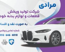 شرکت تولید و پخش لوازم بدنه خودرو