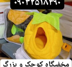 مجموعه کوروش عرضه کننده مخفیگاه کوچک و بزرگ پرندگان