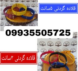 مجموعه کوروش تولید کننده و عرضه کننده  قلاده گردنی 3سانت و 5سانت
