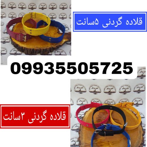 مجموعه کوروش تولید کننده و عرضه کننده  قلاده گردنی 3سانت و 5سانت