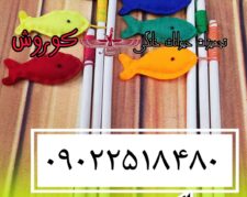 مجموعه کوروش عرضه کننده چوب گربه مدل ماهی