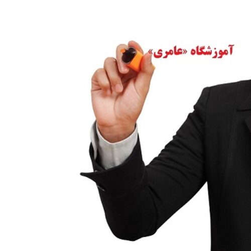 شما هم میتوانید در آموزشگاه «عامری» طراح سایت حرفه ای شوید
