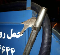 روغن موتور کارکرده