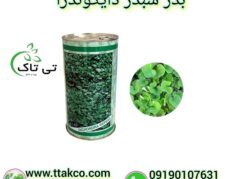 فروش بذر چمن دایکوندرا ، شبدر زینتی 09190993466