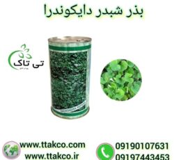فروش بذر چمن دایکوندرا ، شبدر زینتی 09190993466