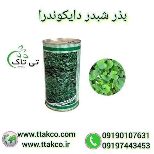 فروش بذر چمن دایکوندرا ، شبدر زینتی 09190993466