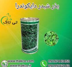 بذر چمن شبدری دایکوندرا – 09190993466