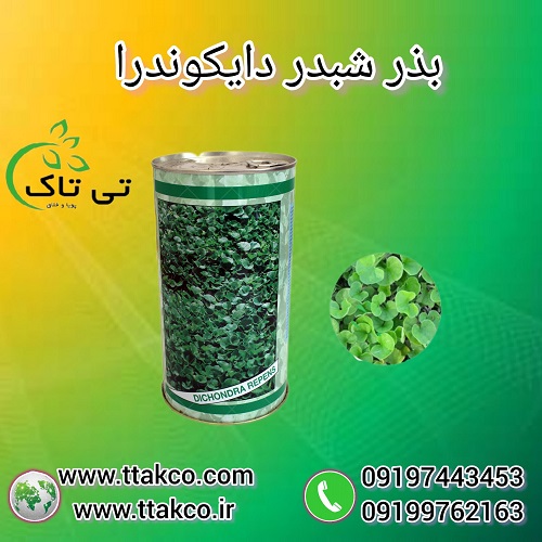بذر چمن شبدری دایکوندرا – 09190993466