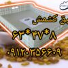 طبق کشمش،سبد نسوز پلاستیکی،طبق انگور