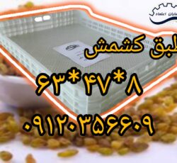 طبق کشمش،سبد نسوز پلاستیکی،طبق انگور