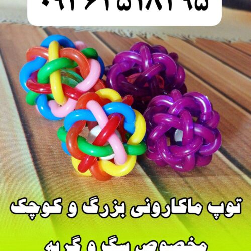 مجموعه کوروش عرضه کننده توپ ماکارونی جاوا